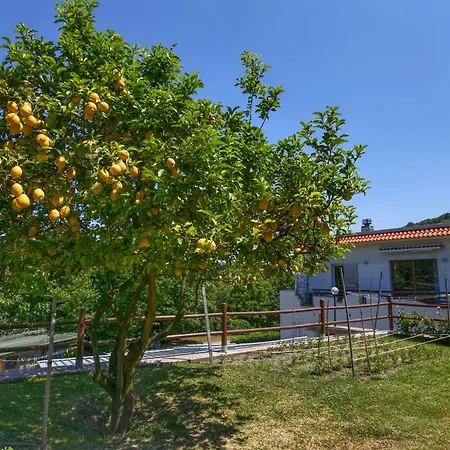 Le Castagne Nyaraló *